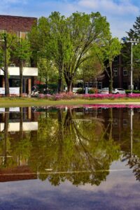 校正技能検定に合格するための効果的な方法は？