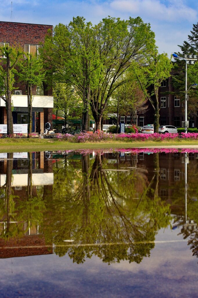 校正技能検定に合格するための効果的な方法は？