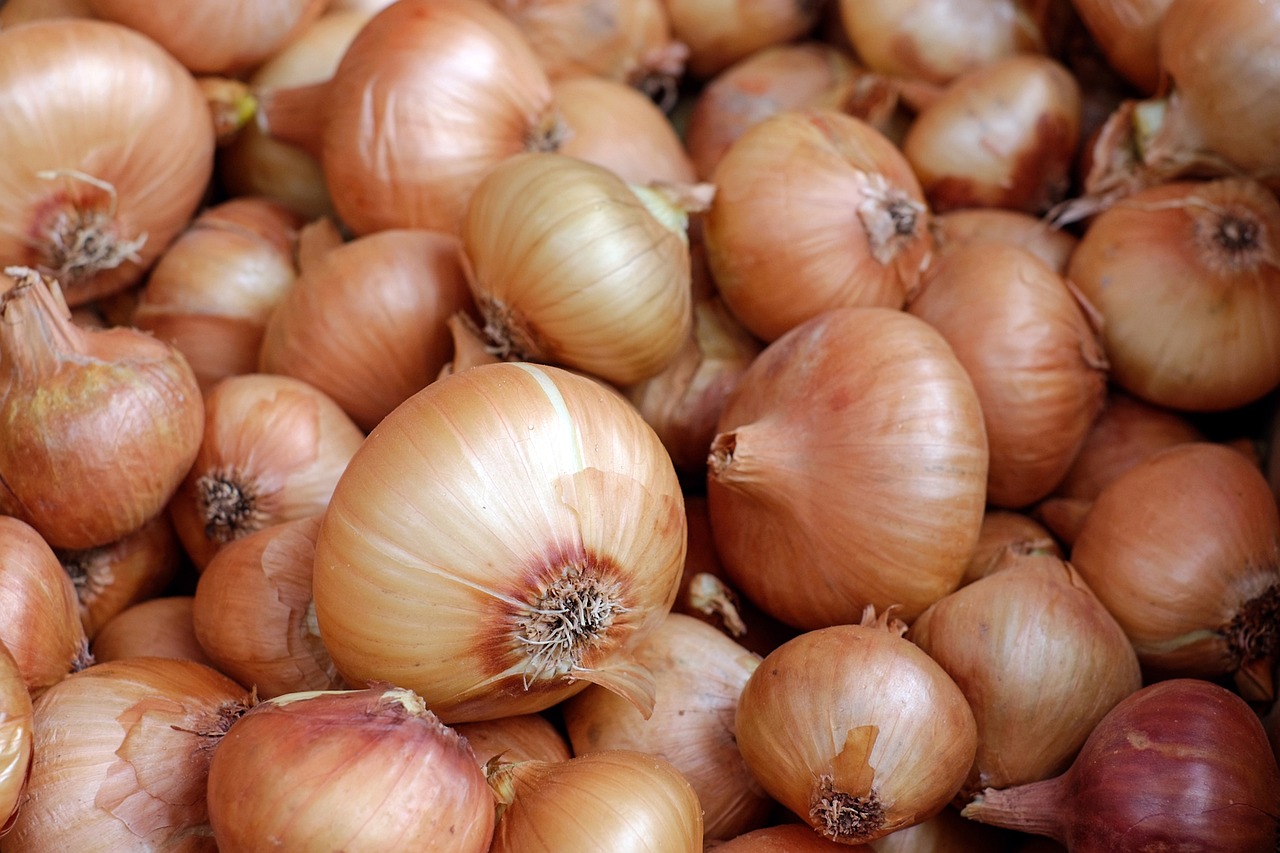 野菜ソムリエ初級資格を取得するメリットとは？