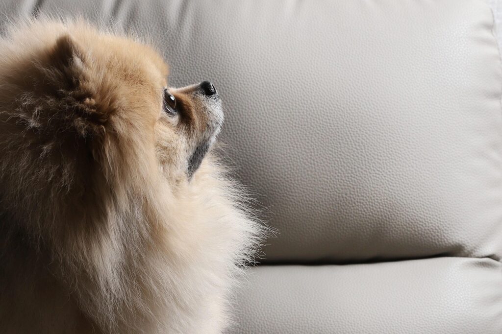 OSCPの受験料はどのくらいかかるの？