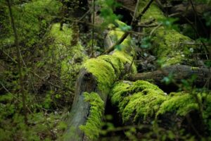 mos試験対策に役立つ効果的な勉強法は？