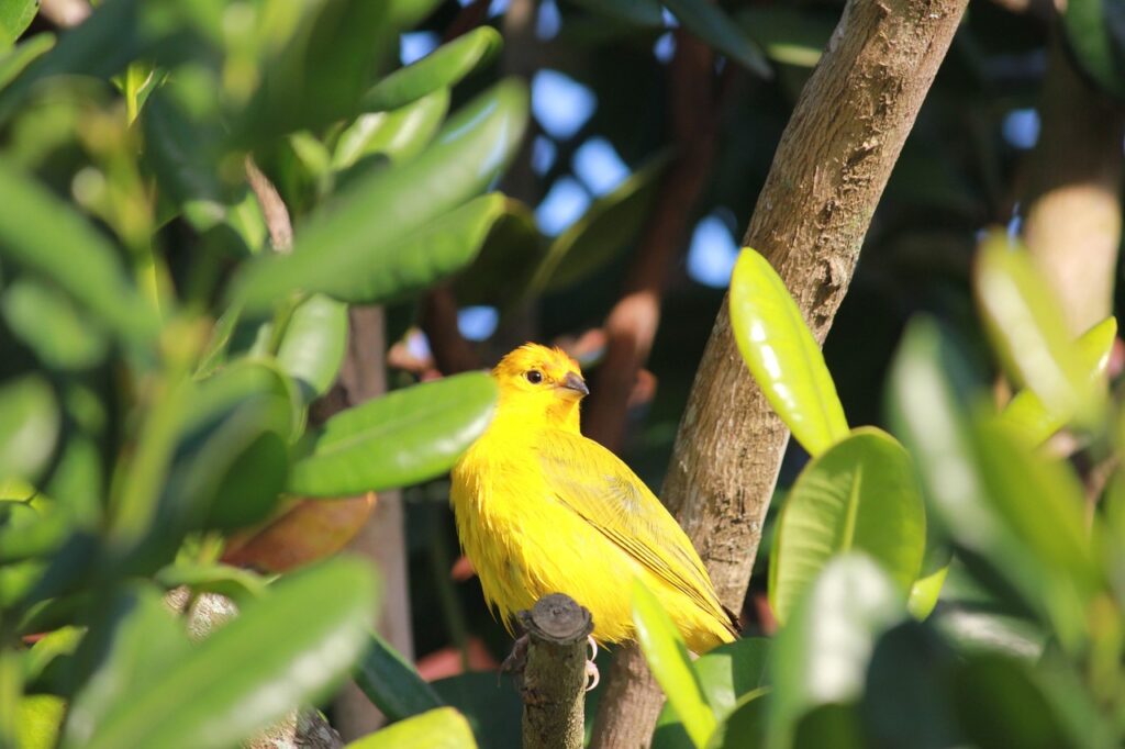 qc検定2級を独学で合格するための効果的な学習法は？