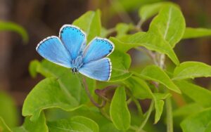 Azure Fundamentals試験対策におすすめの勉強法は？