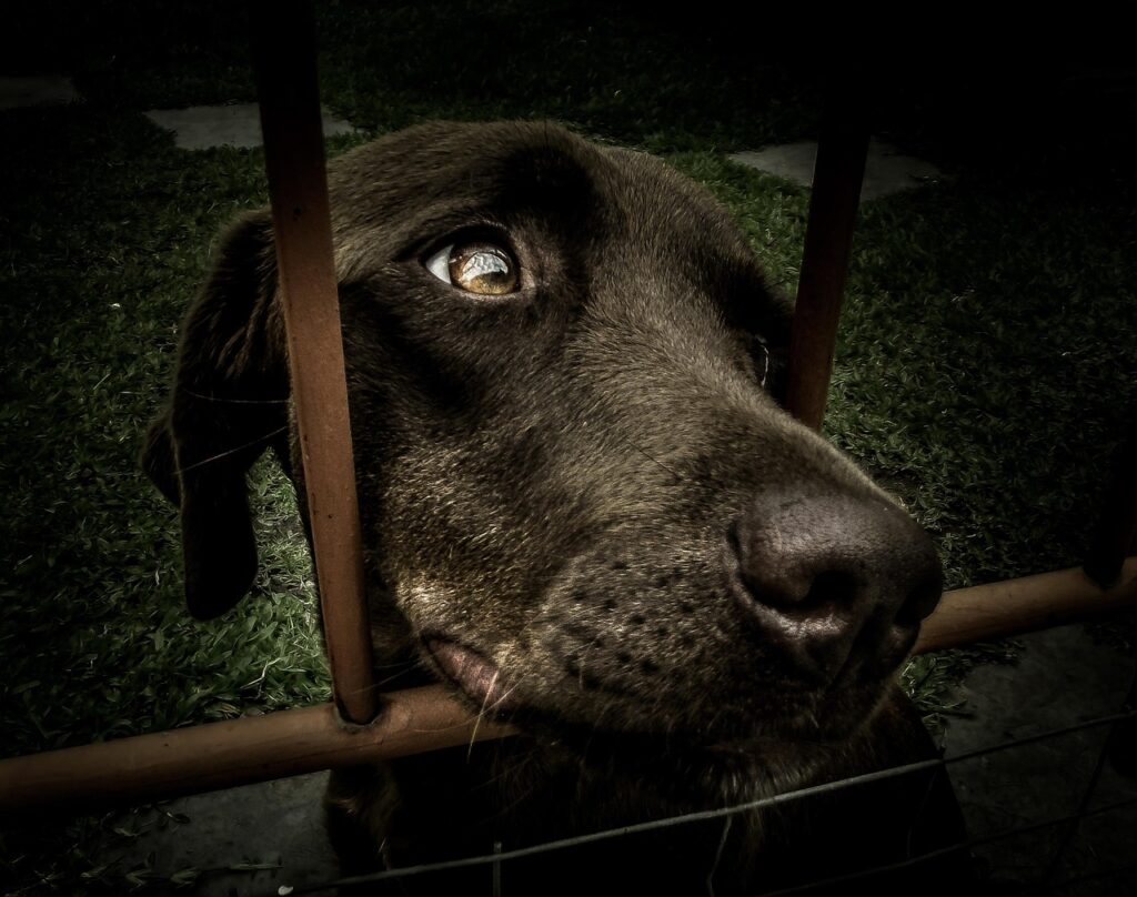 中途採用で有利になる資格とは？