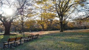 MBA資格の日本における意味とは？