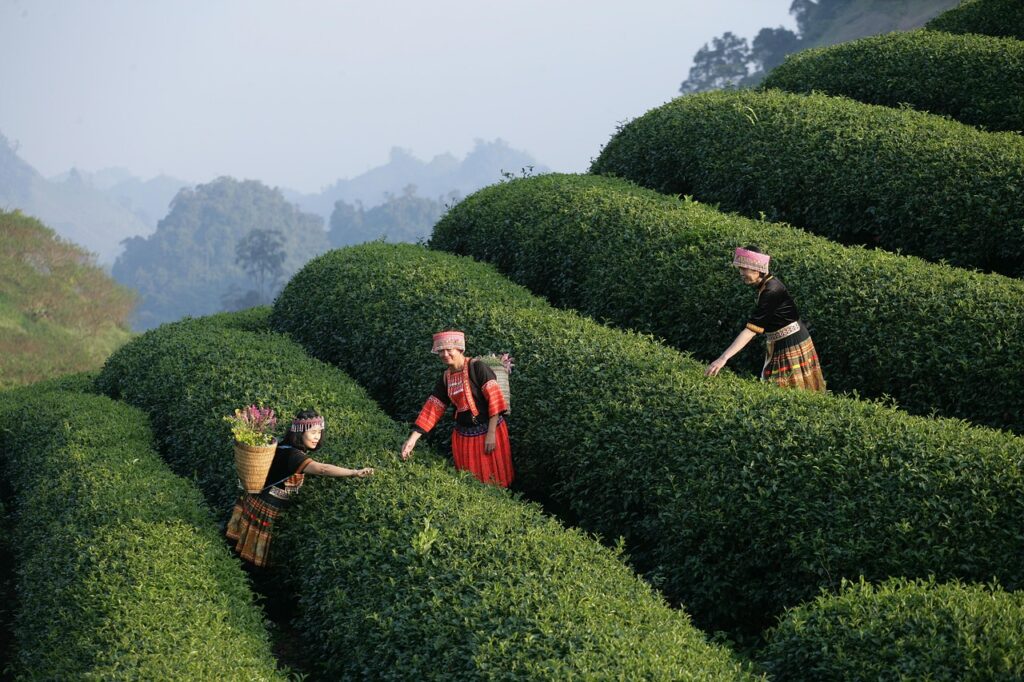 資格を活かすために実務経験がない場合、どうすればよい？