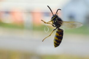 資格取得における失敗の例とその対策は？