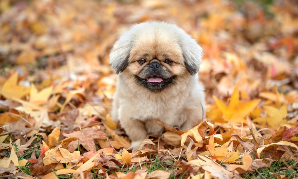 総務に必要な資格とは何ですか？