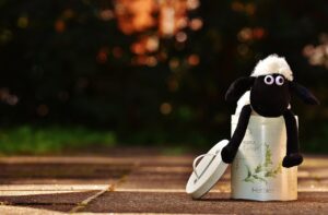 資格でできることの限界とは何か？